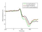 Social feedback valence differentially modulates the reward positivity, P300, and late positive potential