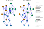 Unique longitudinal relationships between symptoms of psychopathology in youth: A cross-lagged panel network analysis in the ABCD study